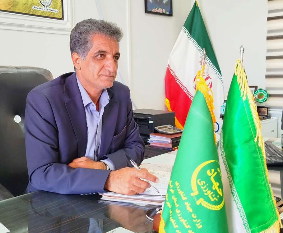 ارزیابی عملکرد 